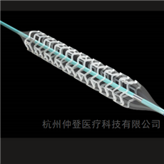 美敦力药物洗脱冠脉支架系统