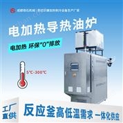 80-300℃ 電加熱導熱油爐 成都珞石