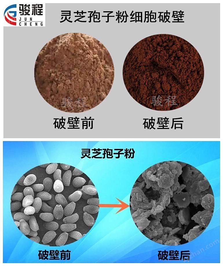低溫細(xì)胞破壁機(jī)
