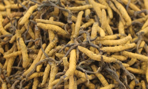 云南白藥發(fā)起6.6 億收購(gòu)，中藥行業(yè)整合再掀波瀾?