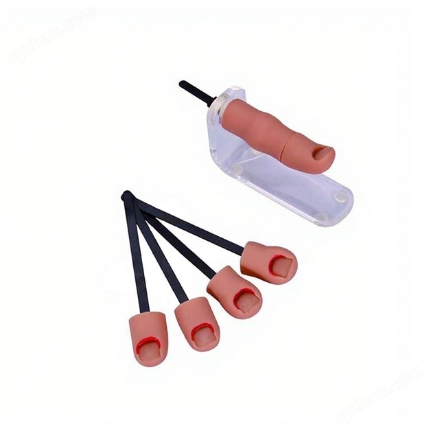 艾米立 拔甲術(shù)練習(xí)模塊