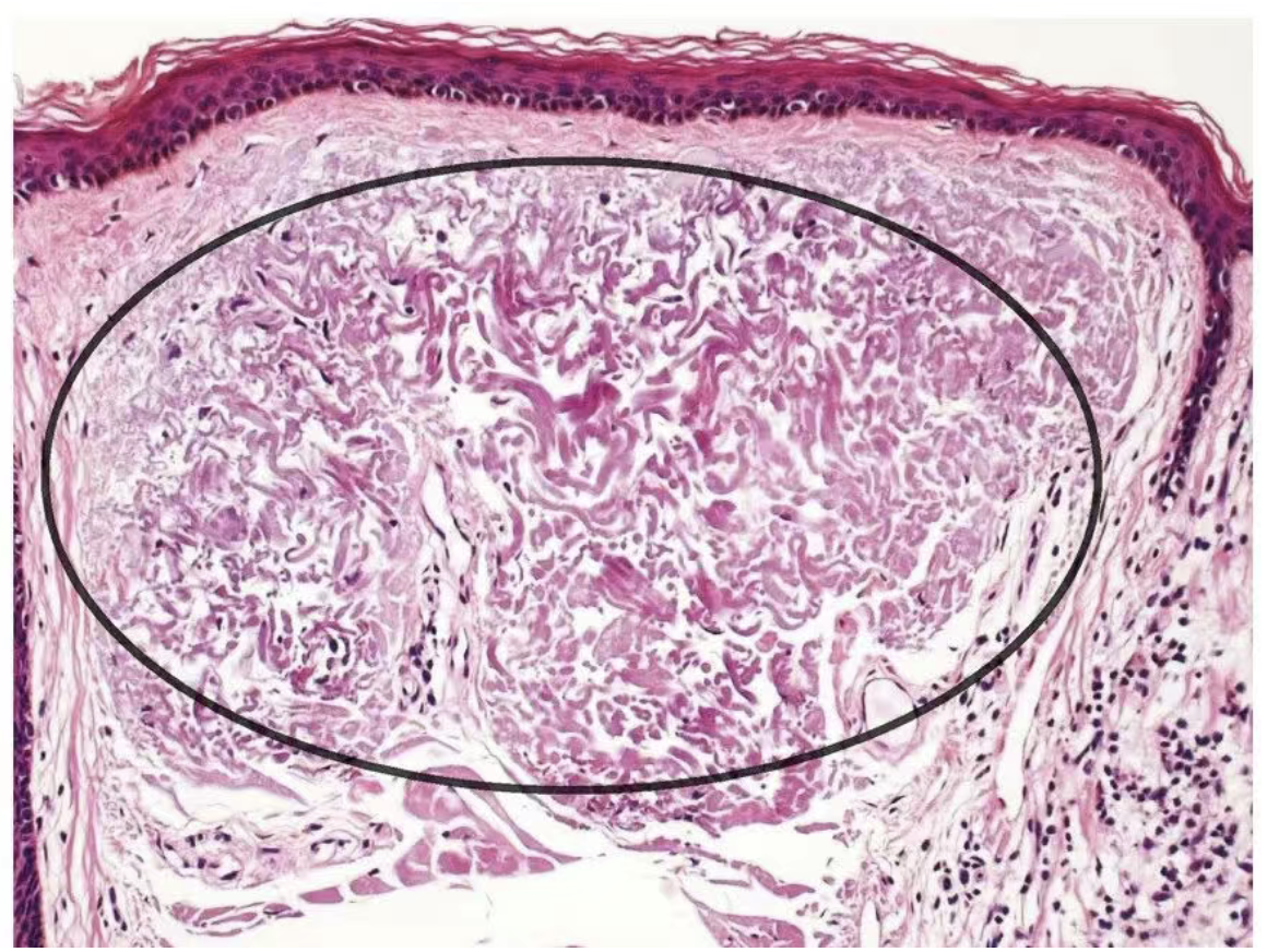图像2026-3-18 14.31.png 图像2026-3-18 14.31.png