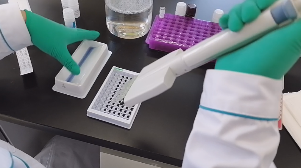 酶标板 Elisa 试剂盒 试剂 本生 血清 试剂 抗体