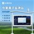 旅游景區(qū)負(fù)氧離子監(jiān)測系統(tǒng)圖片