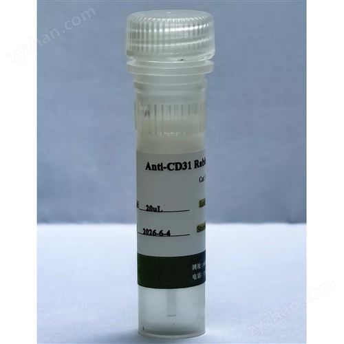����(n��i)Ƥ��(bi��o)־�￹�w��Anti-CD31 Rabbit mAb