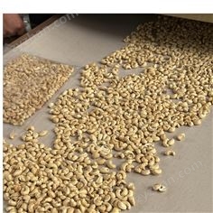 微波烘烤機(jī) 微波核桃烘干設(shè)備
