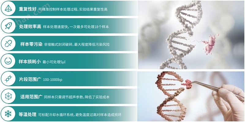 超聲波DNA打斷儀